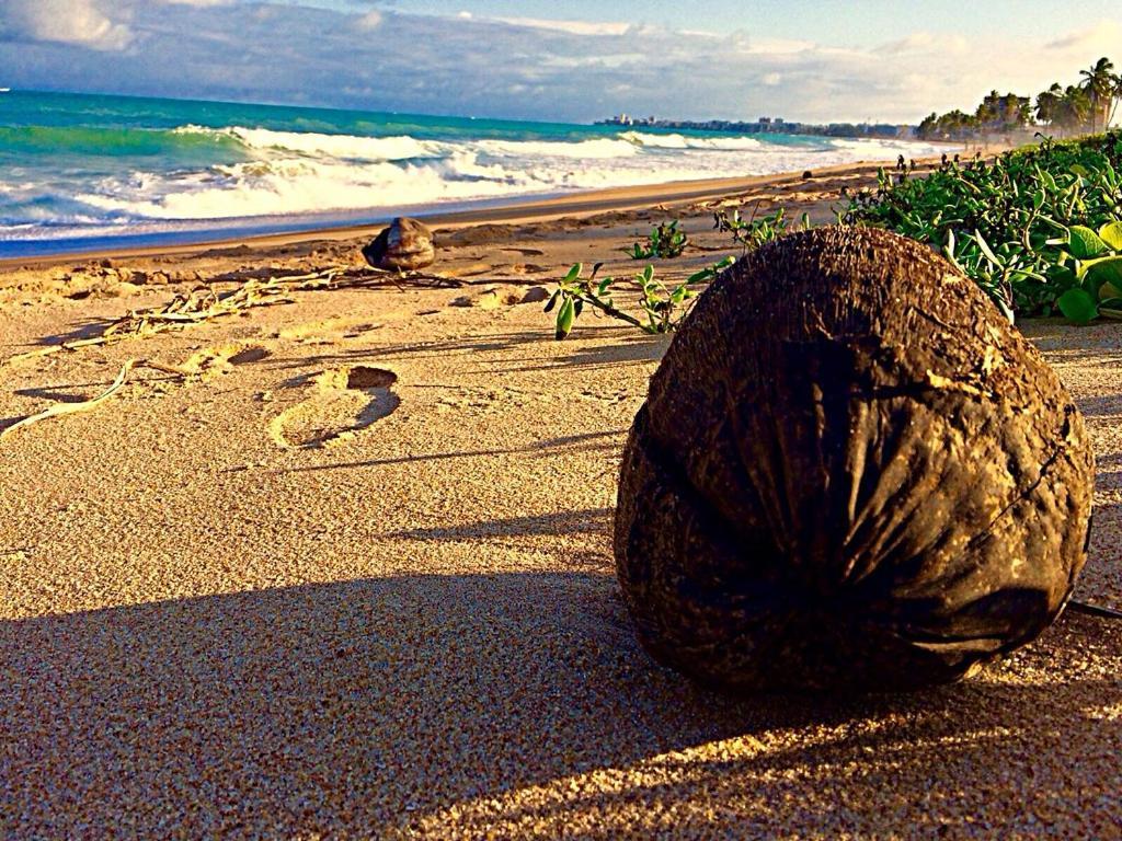 Hotel Pousada Bossa Nova Maceió Esterno foto